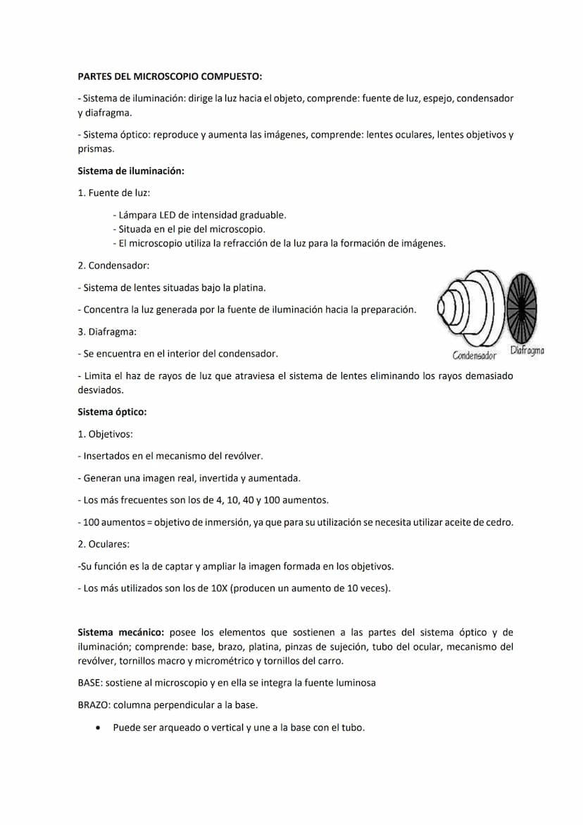 Tema 3 OBSERVACIÓN MICROSCÓPICA
CONTENIDOS
- El microscopio
- Técnicas para la observación microscópica
- Tipos de tinciones
Principios de ó