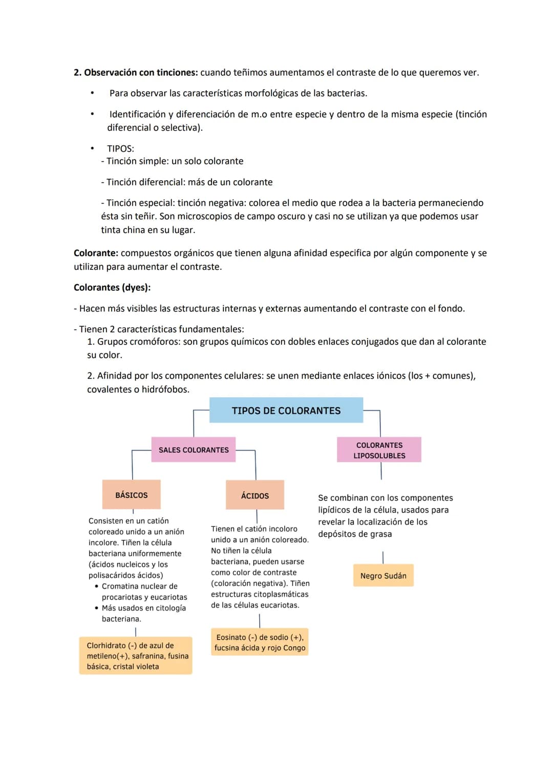 Tema 3 OBSERVACIÓN MICROSCÓPICA
CONTENIDOS
- El microscopio
- Técnicas para la observación microscópica
- Tipos de tinciones
Principios de ó
