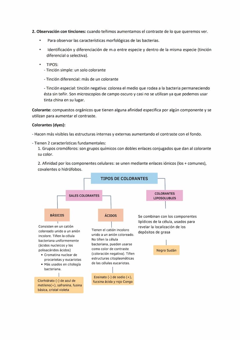 Tema 3 OBSERVACIÓN MICROSCÓPICA
CONTENIDOS
- El microscopio
- Técnicas para la observación microscópica
- Tipos de tinciones
Principios de ó
