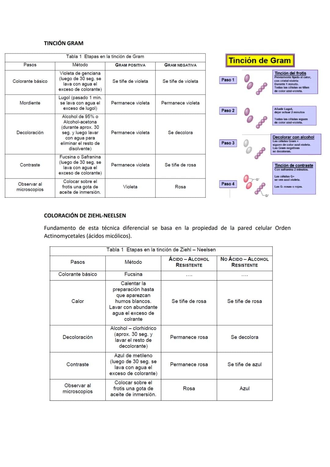 Tema 3 OBSERVACIÓN MICROSCÓPICA
CONTENIDOS
- El microscopio
- Técnicas para la observación microscópica
- Tipos de tinciones
Principios de ó