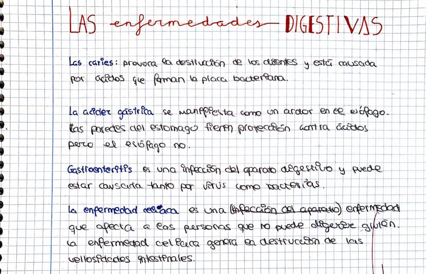 
<p>La función de nutrición es uno de los procesos vitales más importantes del cuerpo humano. Este proceso es esencial para la supervivencia