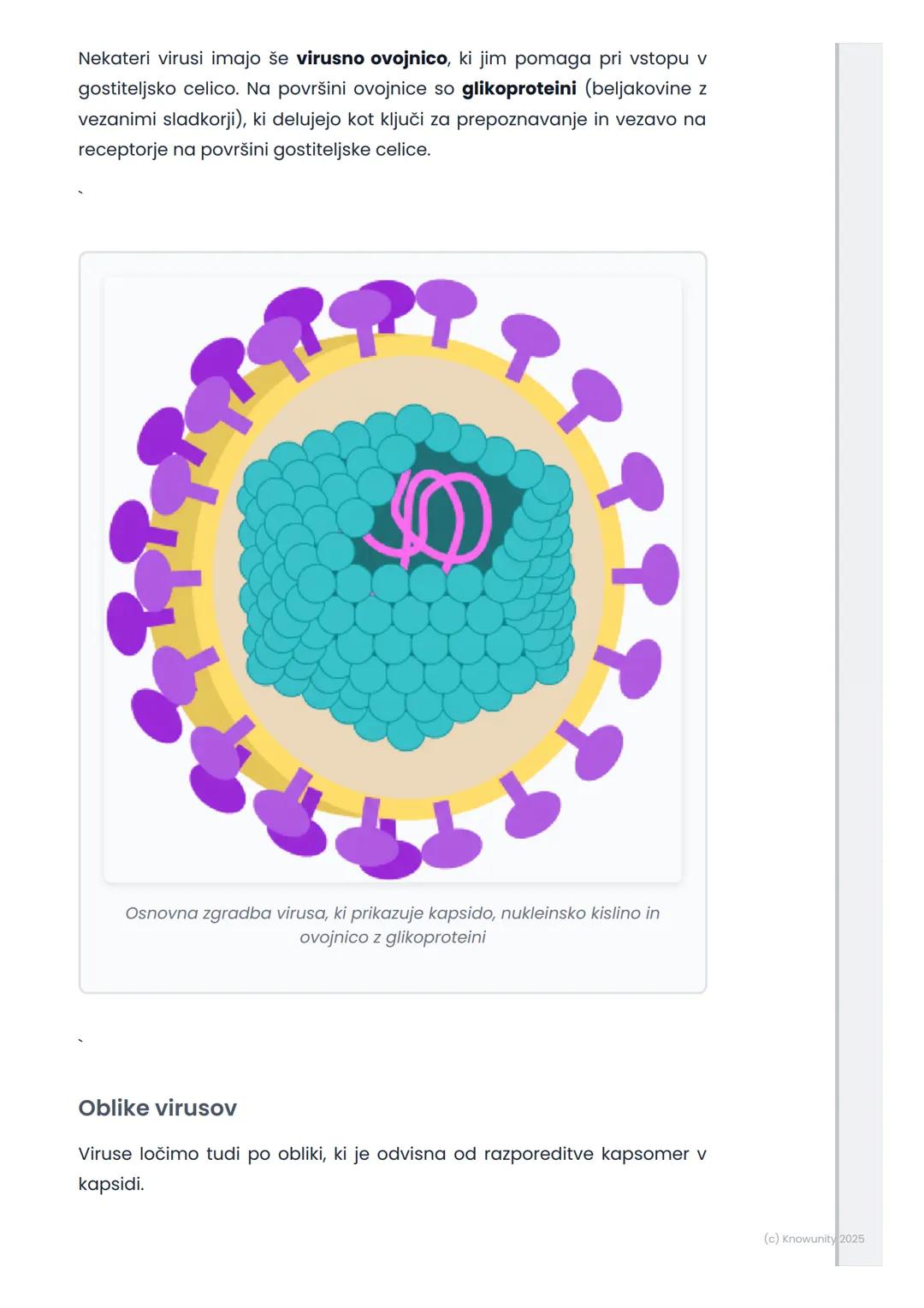 # Virusi – zgradba in pomen

Kaj so virusi?

Virusi so zelo majhni delci, manjši od bakterij. Niso celice, zato jih ne
uvrščamo med živa bit