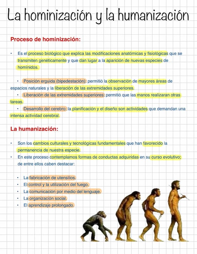 Know Hominización y humanización: proceso evolutivo y cambios culturales thumbnail