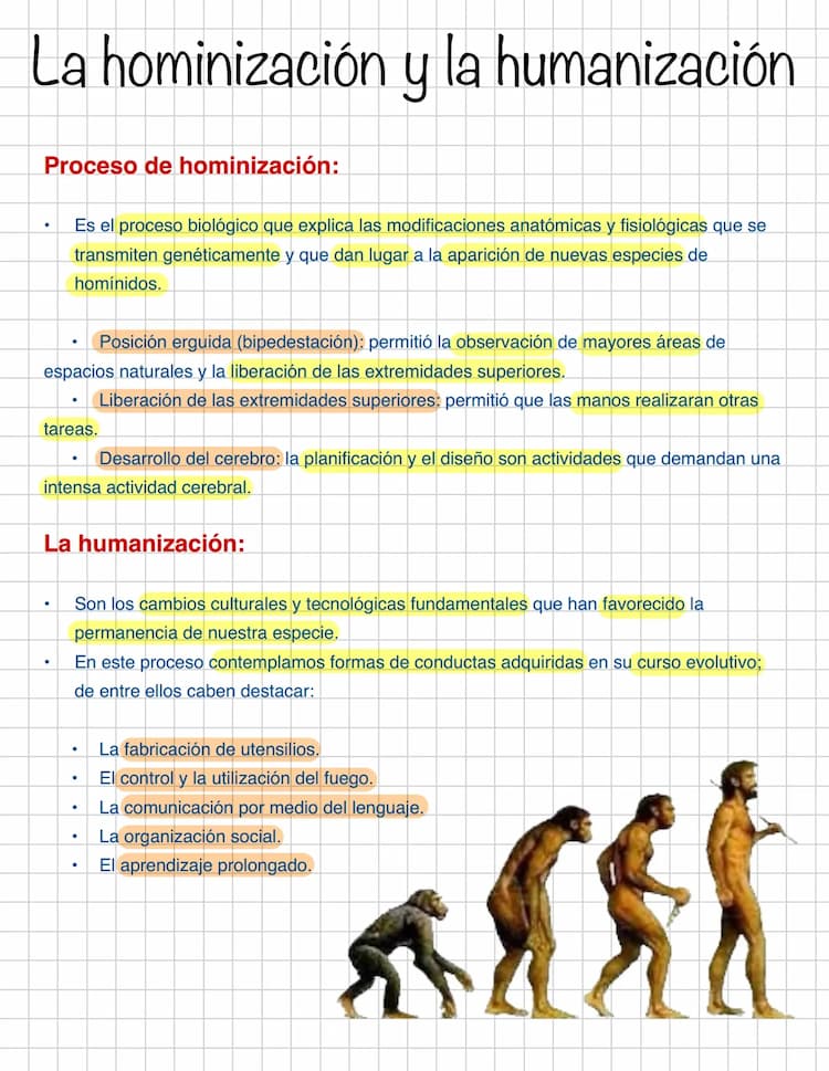 Know Hominización y humanización: proceso evolutivo y cambios culturales thumbnail