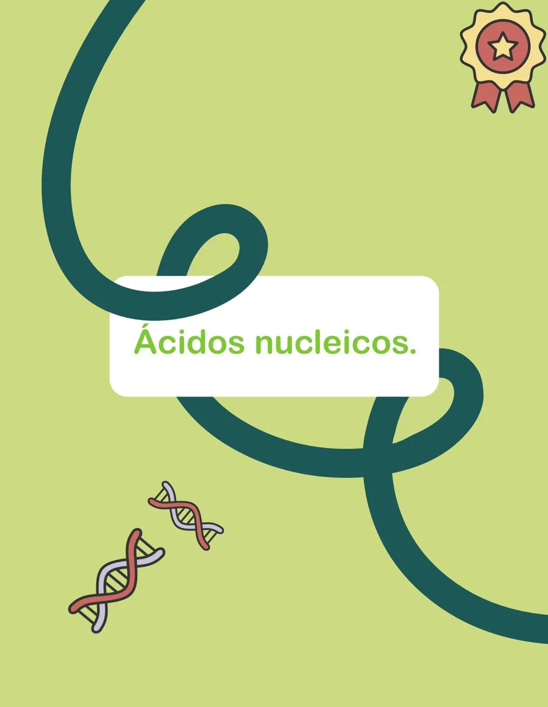 6
Ácidos nucleicos. 1. Ácidos nucleicos: moléculas encargadas de guardar,
transmitir y expresar la información genética. Se forman con la
un
