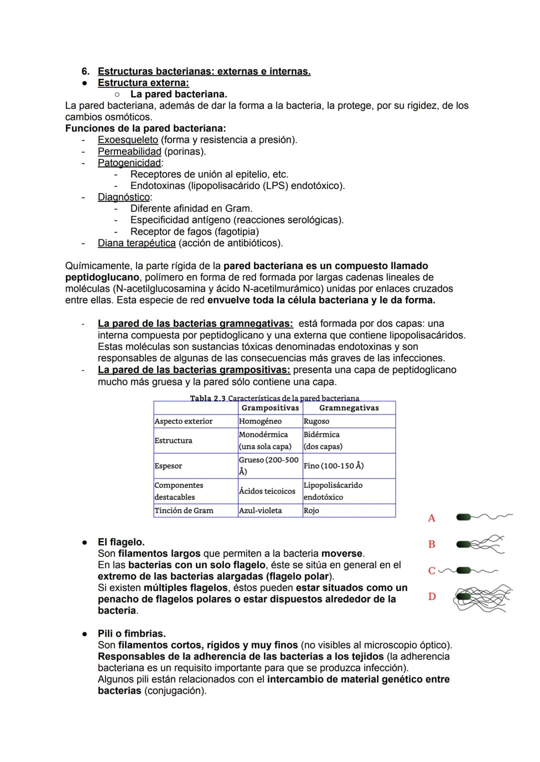 MICROBIOLOGÍA
TEMA 11.1: INTRODUCCIÓN A LA MICROBIOLOGÍA
1. Introducción a la microbiología.
Microbiología: Ciencia que se encarga del estud