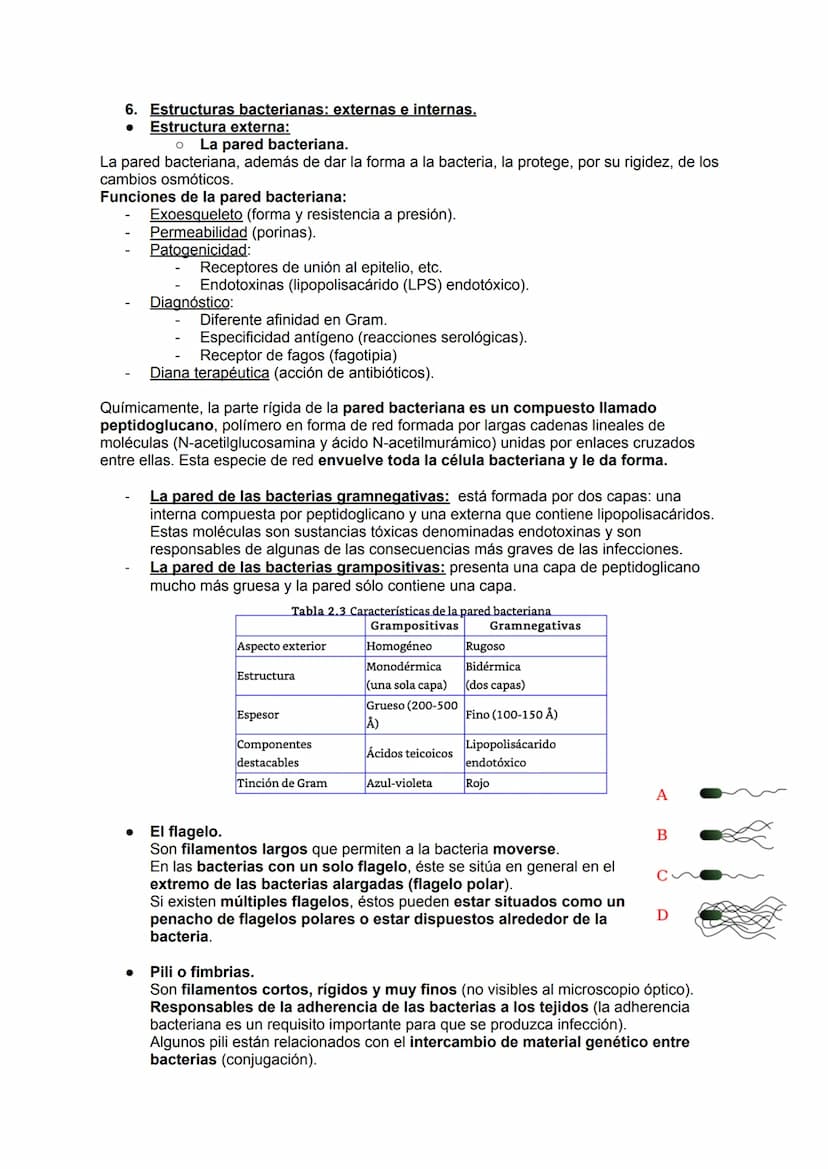 MICROBIOLOGÍA
TEMA 11.1: INTRODUCCIÓN A LA MICROBIOLOGÍA
1. Introducción a la microbiología.
Microbiología: Ciencia que se encarga del estud