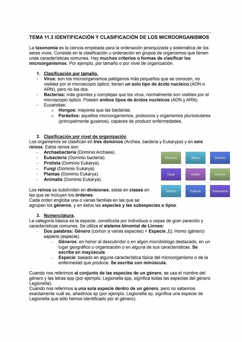 MICROBIOLOGÍA
TEMA 11.1: INTRODUCCIÓN A LA MICROBIOLOGÍA
1. Introducción a la microbiología.
Microbiología: Ciencia que se encarga del estud
