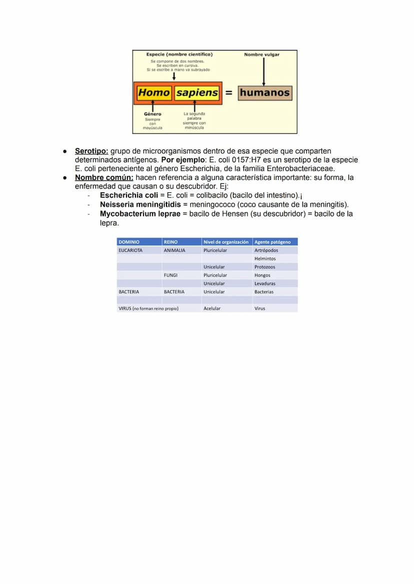 MICROBIOLOGÍA
TEMA 11.1: INTRODUCCIÓN A LA MICROBIOLOGÍA
1. Introducción a la microbiología.
Microbiología: Ciencia que se encarga del estud