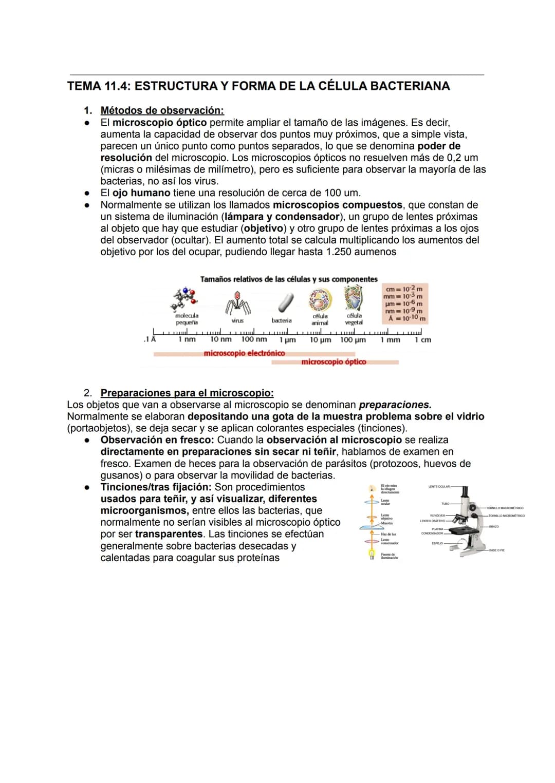 MICROBIOLOGÍA
TEMA 11.1: INTRODUCCIÓN A LA MICROBIOLOGÍA
1. Introducción a la microbiología.
Microbiología: Ciencia que se encarga del estud