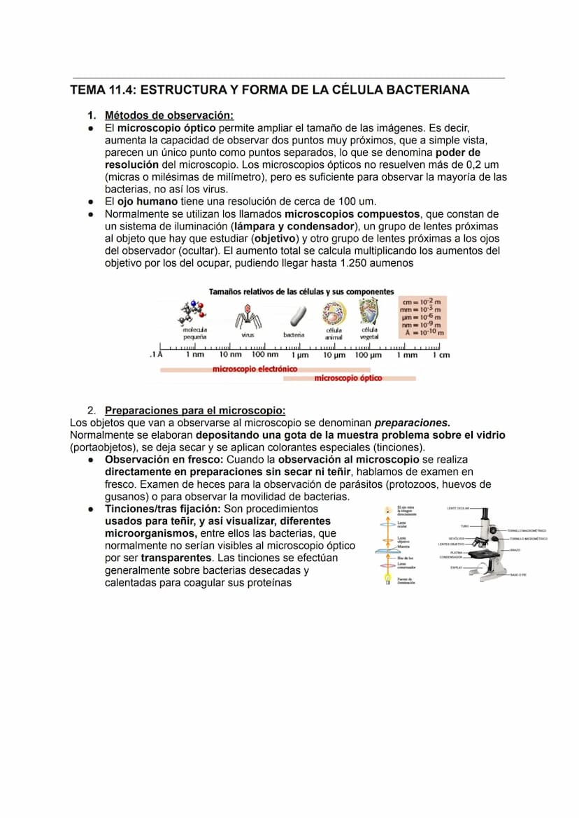MICROBIOLOGÍA
TEMA 11.1: INTRODUCCIÓN A LA MICROBIOLOGÍA
1. Introducción a la microbiología.
Microbiología: Ciencia que se encarga del estud