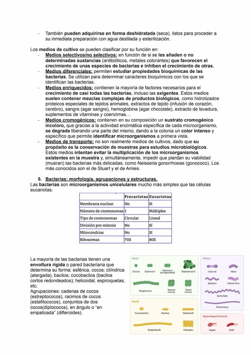MICROBIOLOGÍA
TEMA 11.1: INTRODUCCIÓN A LA MICROBIOLOGÍA
1. Introducción a la microbiología.
Microbiología: Ciencia que se encarga del estud