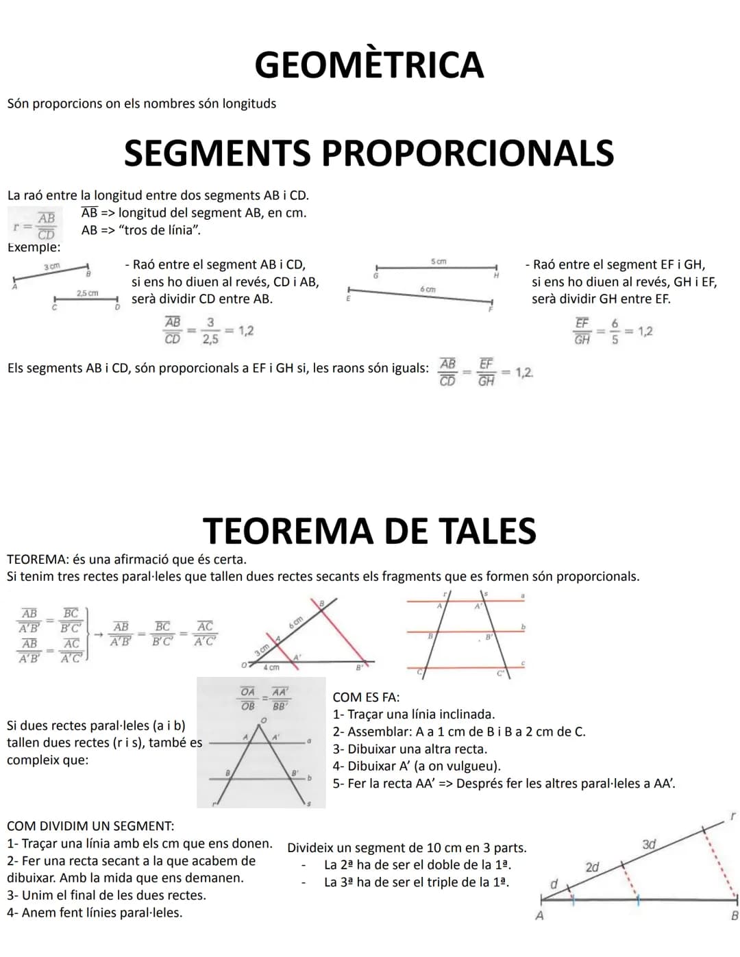 Són proporcions on els nombres són longituds
AB
CD
Exemple:
3 cm
La raó entre la longitud entre dos segments AB i CD.
AB=> longitud del segm