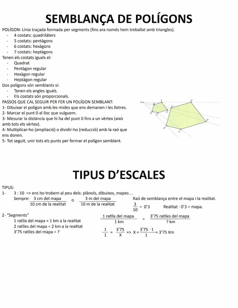 Són proporcions on els nombres són longituds
AB
CD
Exemple:
3 cm
La raó entre la longitud entre dos segments AB i CD.
AB=> longitud del segm