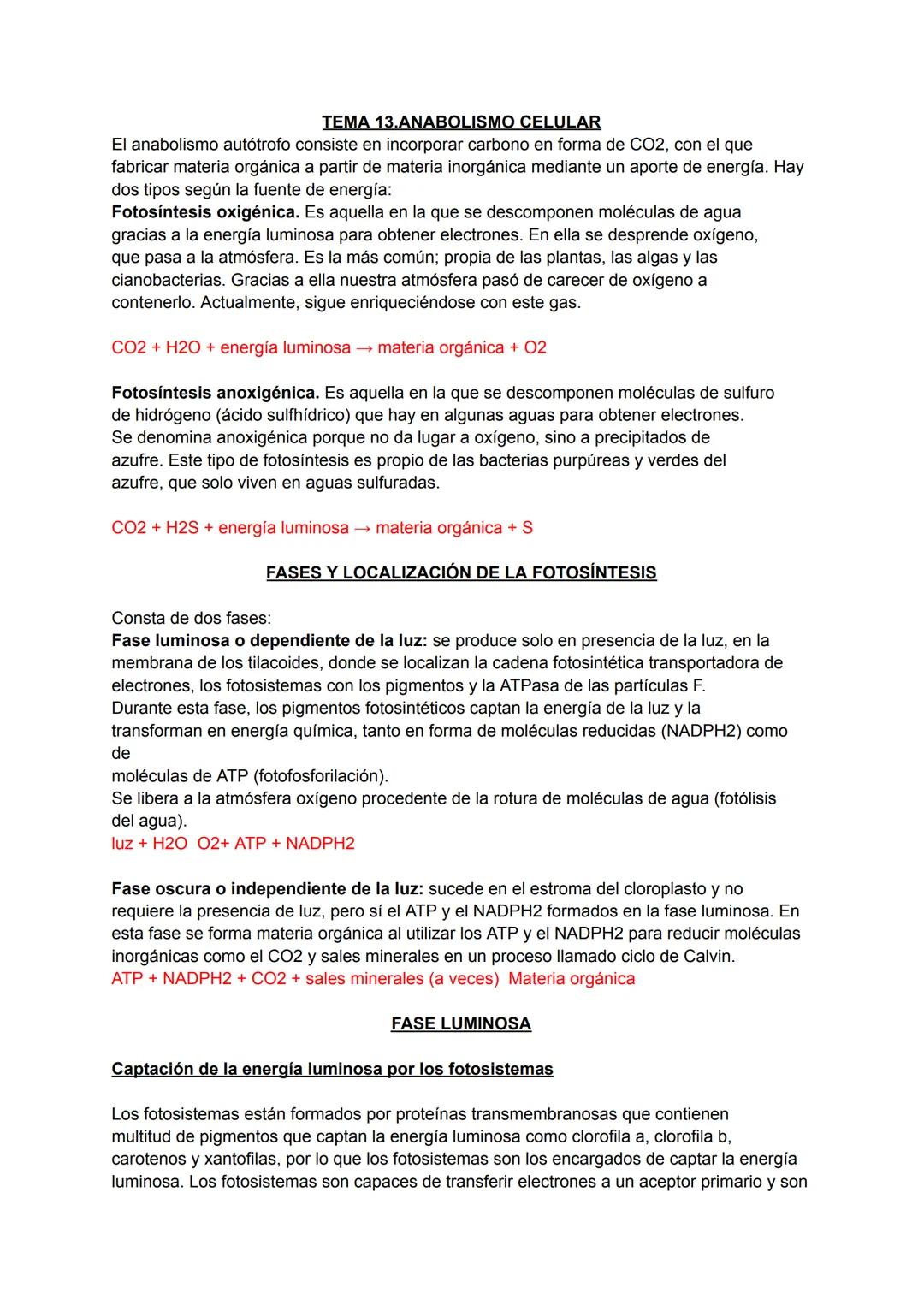 Anabolismo Celular: Conceptos Clave y Resumen para EBAU