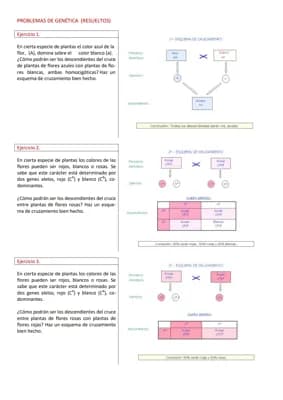 Know PROBLEMAS DE GENÉTICA Y HERENCIA  thumbnail