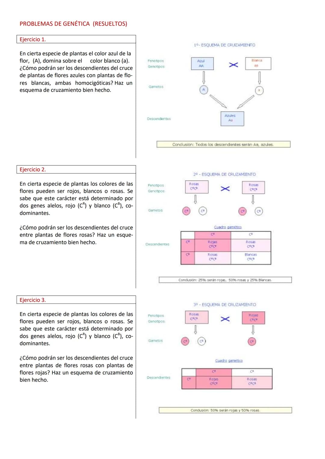 PROBLEMAS DE GENÉTICA (RESUELTOS)
Ejercicio 1.
En cierta especie de plantas el color azul de la
flor, (A), domina sobre el
color blanco (a).