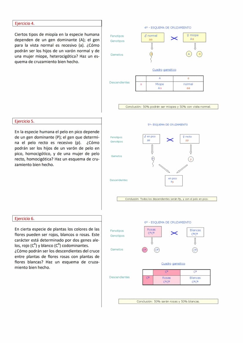 PROBLEMAS DE GENÉTICA (RESUELTOS)
Ejercicio 1.
En cierta especie de plantas el color azul de la
flor, (A), domina sobre el
color blanco (a).