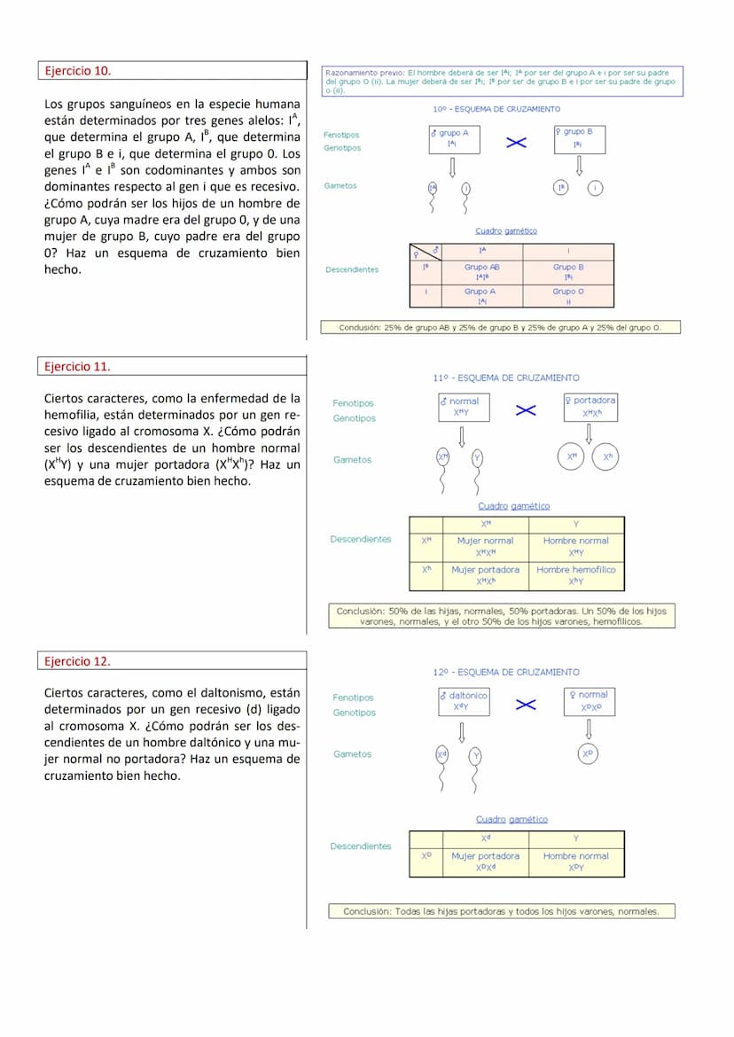 PROBLEMAS DE GENÉTICA (RESUELTOS)
Ejercicio 1.
En cierta especie de plantas el color azul de la
flor, (A), domina sobre el
color blanco (a).