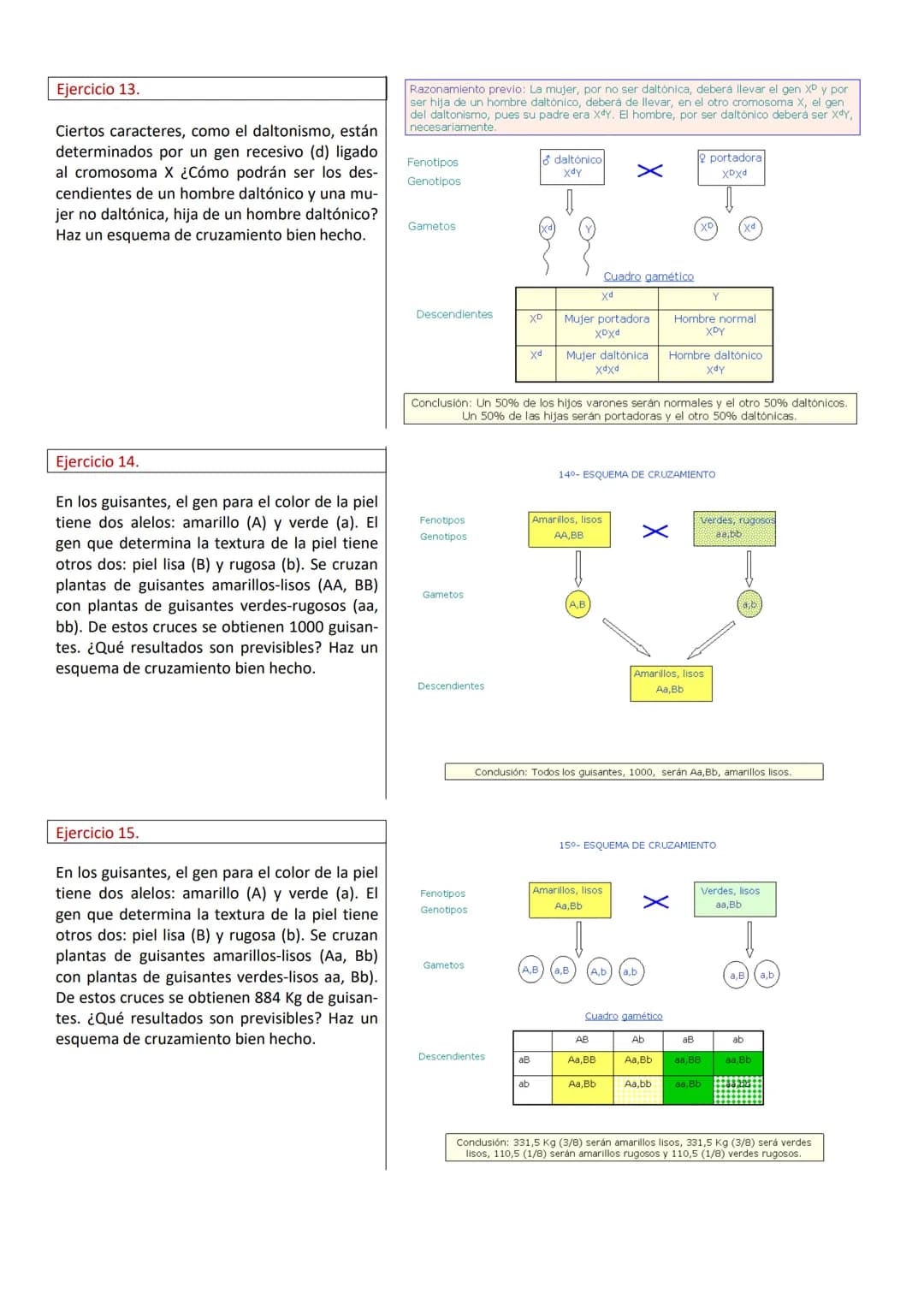 PROBLEMAS DE GENÉTICA (RESUELTOS)
Ejercicio 1.
En cierta especie de plantas el color azul de la
flor, (A), domina sobre el
color blanco (a).