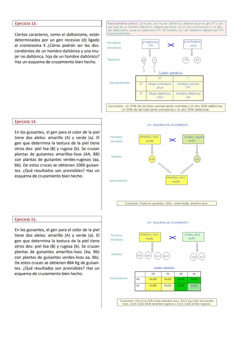 PROBLEMAS DE GENÉTICA (RESUELTOS)
Ejercicio 1.
En cierta especie de plantas el color azul de la
flor, (A), domina sobre el
color blanco (a).