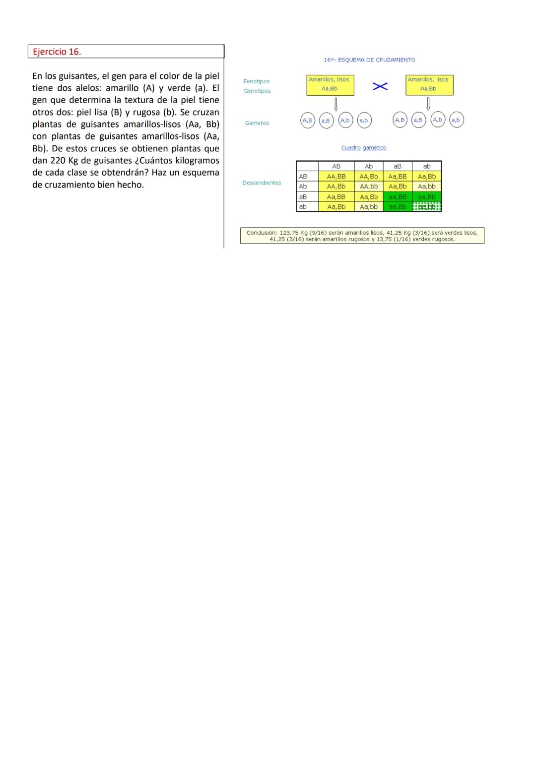PROBLEMAS DE GENÉTICA (RESUELTOS)
Ejercicio 1.
En cierta especie de plantas el color azul de la
flor, (A), domina sobre el
color blanco (a).