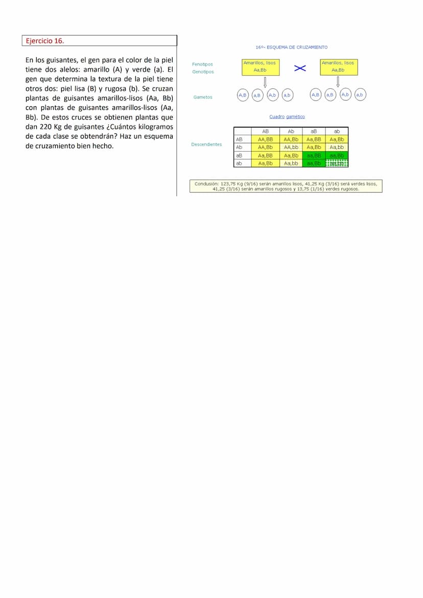 PROBLEMAS DE GENÉTICA (RESUELTOS)
Ejercicio 1.
En cierta especie de plantas el color azul de la
flor, (A), domina sobre el
color blanco (a).