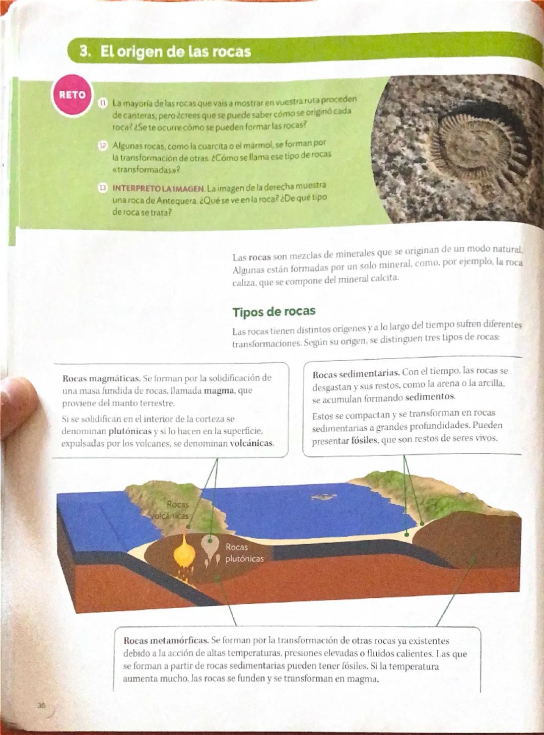 30
1. La Tierra por dentro
RETO
Antes de planificar el itinerario para identificar y reconocer rocas
y minerales, tendrás que saber de dónde