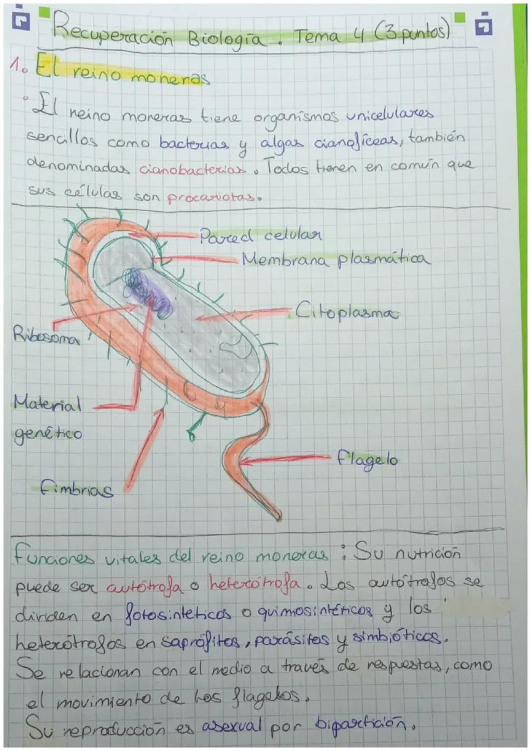 Recuperación Biologia Tema 4 (3 puntos)
1. El reino moneras
reino moneras tiene
organismos
unicelulares
sencillos como bacterias y algas cia