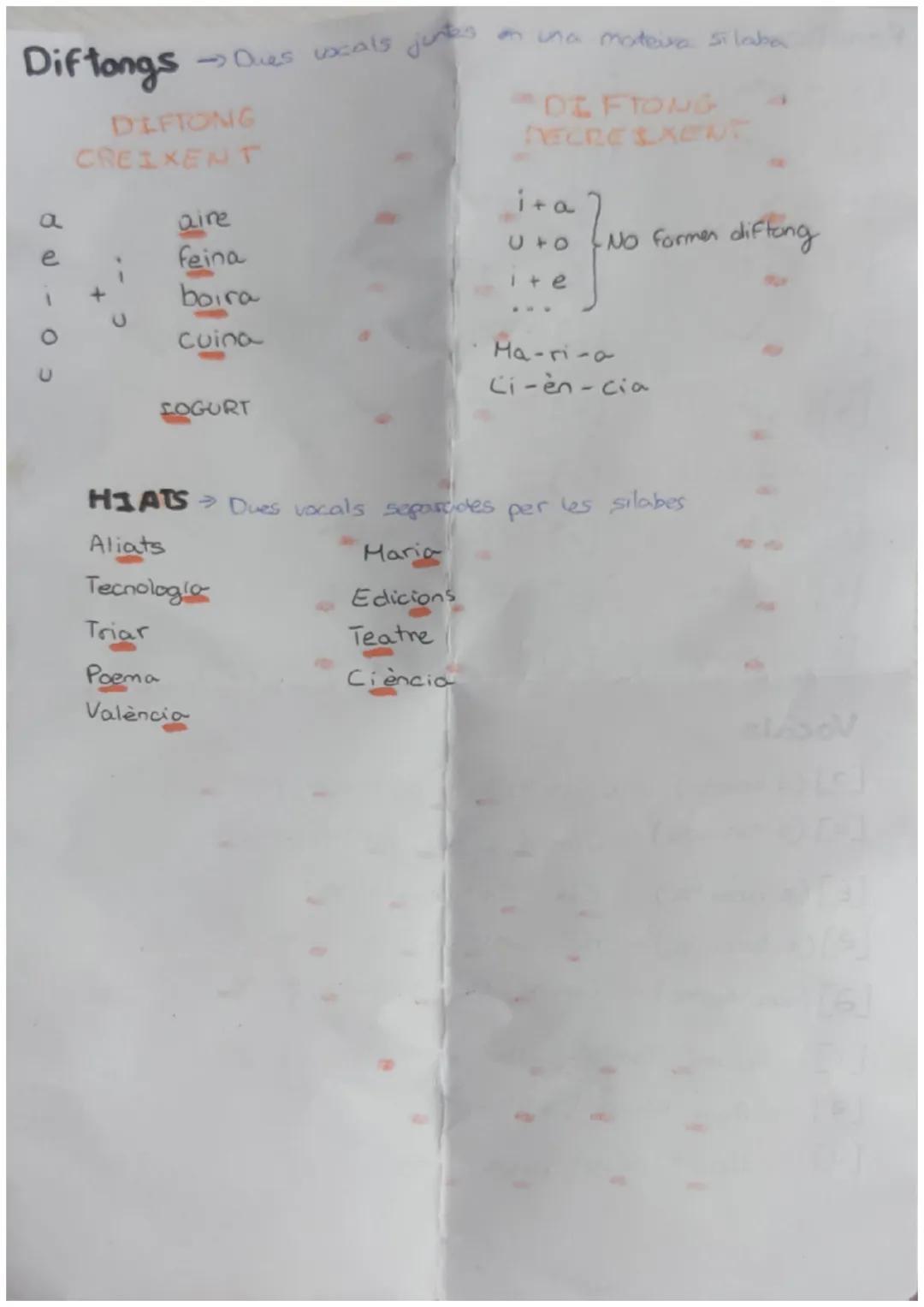 Fonetica
[P]→ pota
[b] → bota
[t] te
[d] → dit
[K] → casa
[g] → gota
[m] → mel
[n]→nina
[F] → farina
[v] →vaca
[s] sot
[2] zero rosa
[ST-xin