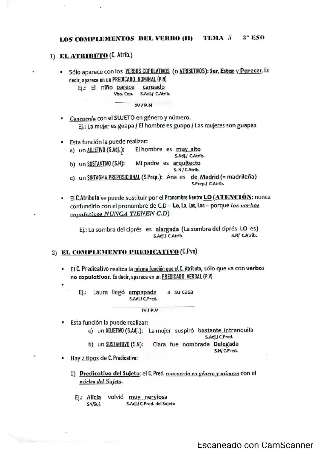 Complemento atributo y predicativo