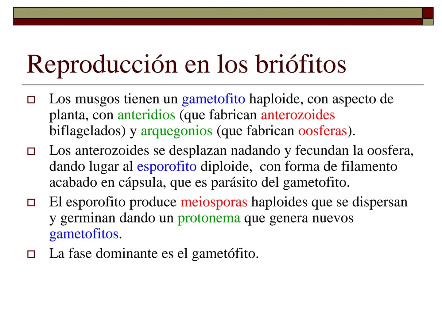 TEMA 12 (2ª parte):
LA REPRODUCCIÓN
EN LAS PLANTAS Tipos de reproducción en las plantas
□ Reproducción asexual:
■ Los individuos se forman a