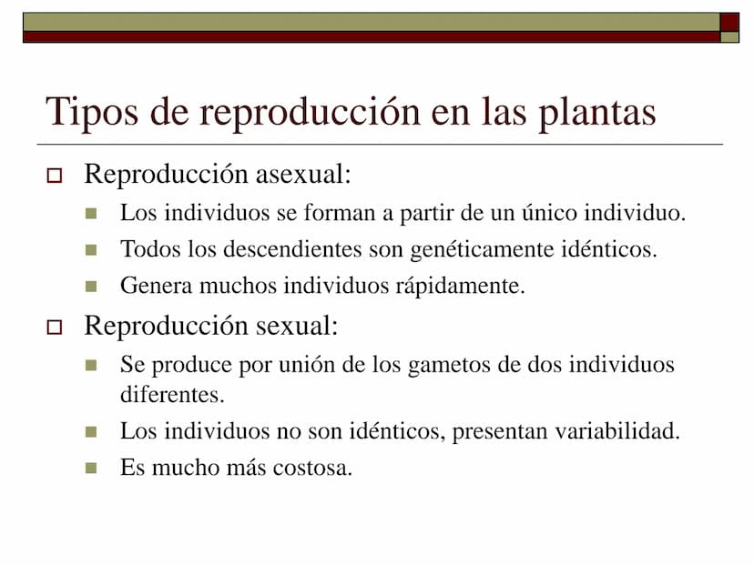 TEMA 12 (2ª parte):
LA REPRODUCCIÓN
EN LAS PLANTAS Tipos de reproducción en las plantas
□ Reproducción asexual:
■ Los individuos se forman a