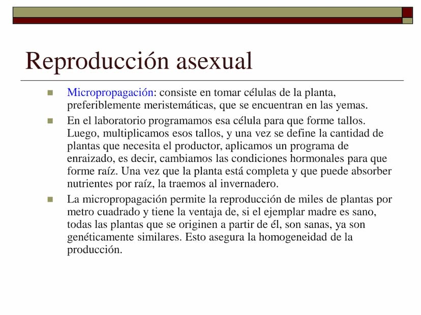 TEMA 12 (2ª parte):
LA REPRODUCCIÓN
EN LAS PLANTAS Tipos de reproducción en las plantas
□ Reproducción asexual:
■ Los individuos se forman a