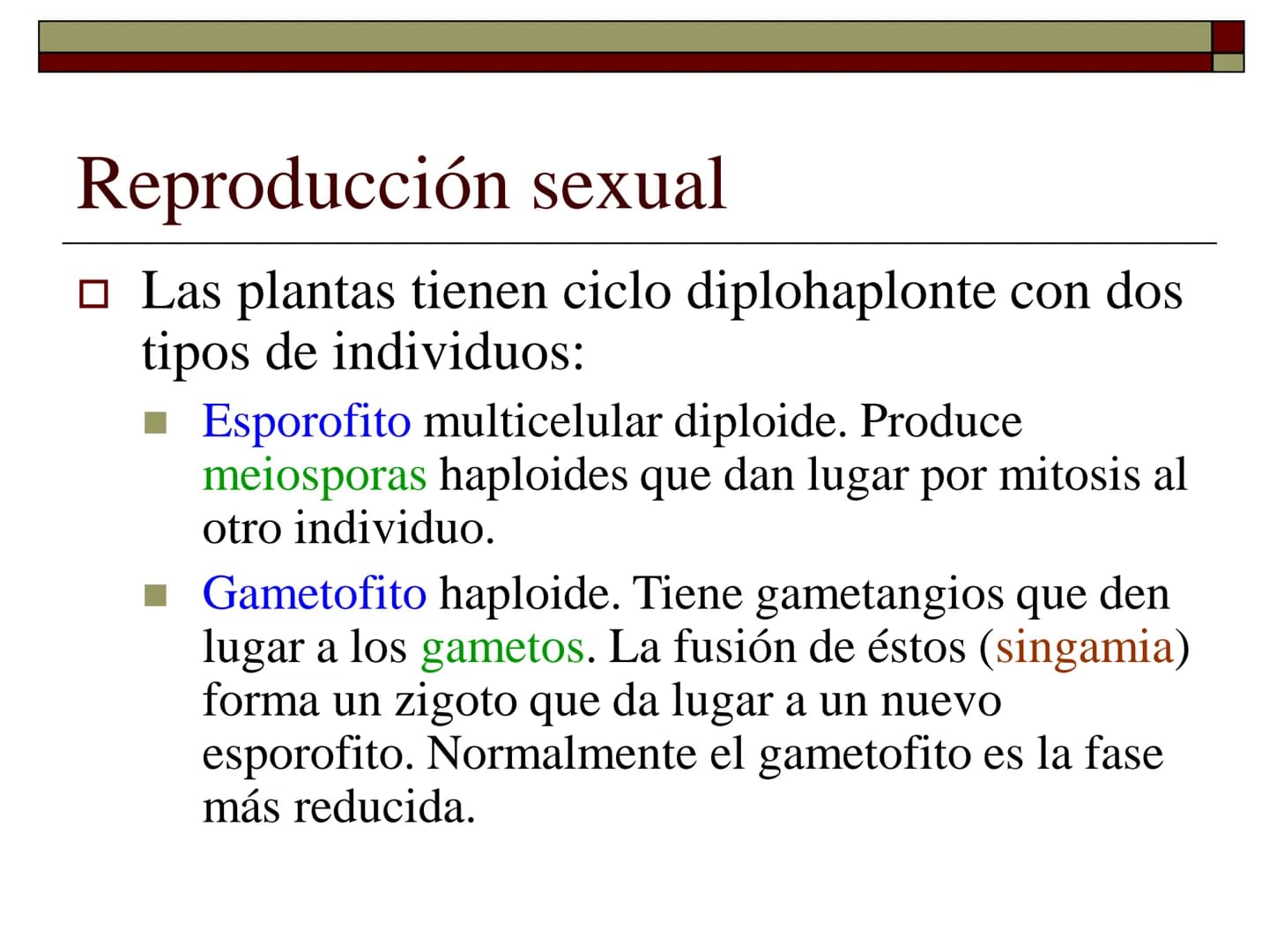 TEMA 12 (2ª parte):
LA REPRODUCCIÓN
EN LAS PLANTAS Tipos de reproducción en las plantas
□ Reproducción asexual:
■ Los individuos se forman a