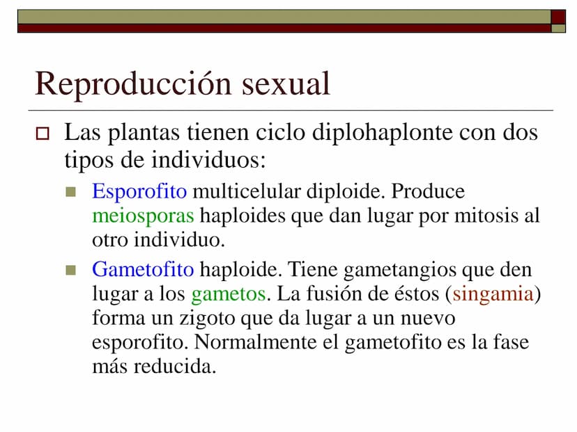 TEMA 12 (2ª parte):
LA REPRODUCCIÓN
EN LAS PLANTAS Tipos de reproducción en las plantas
□ Reproducción asexual:
■ Los individuos se forman a