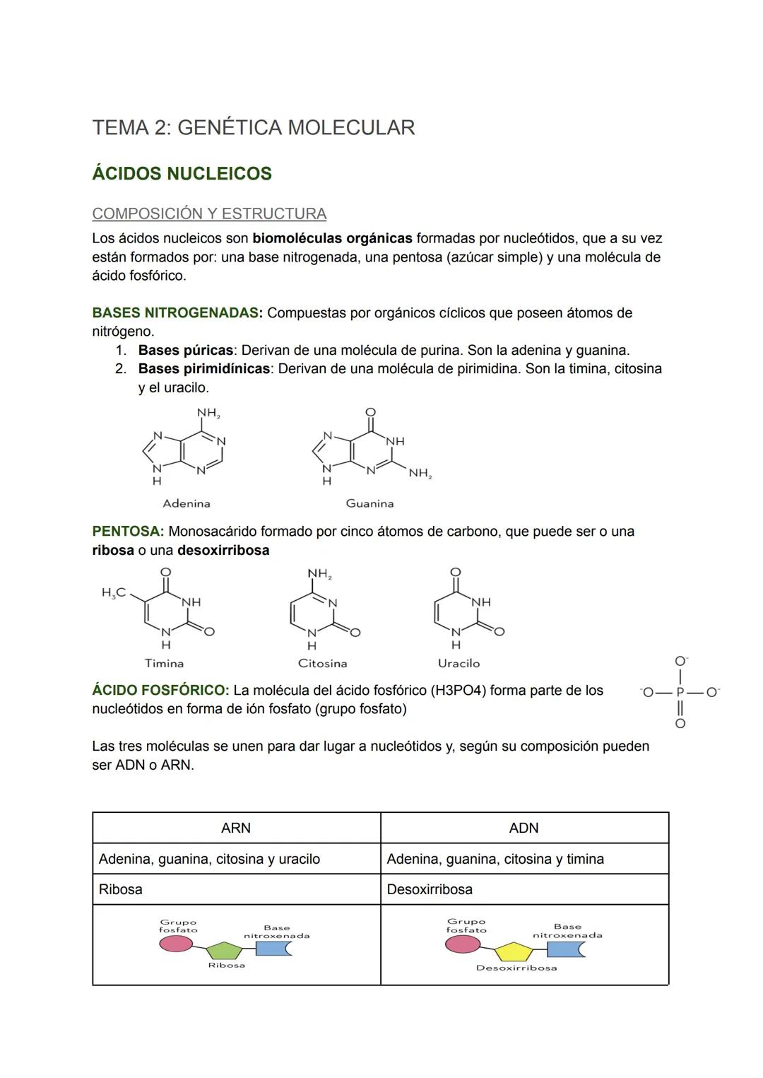# TEMA 2: GENÉTICA MOLECULAR

# ÁCIDOS NUCLEICOS

COMPOSICIÓN Y ESTRUCTURA

Los ácidos nucleicos son biomoléculas orgánicas formadas por nuc