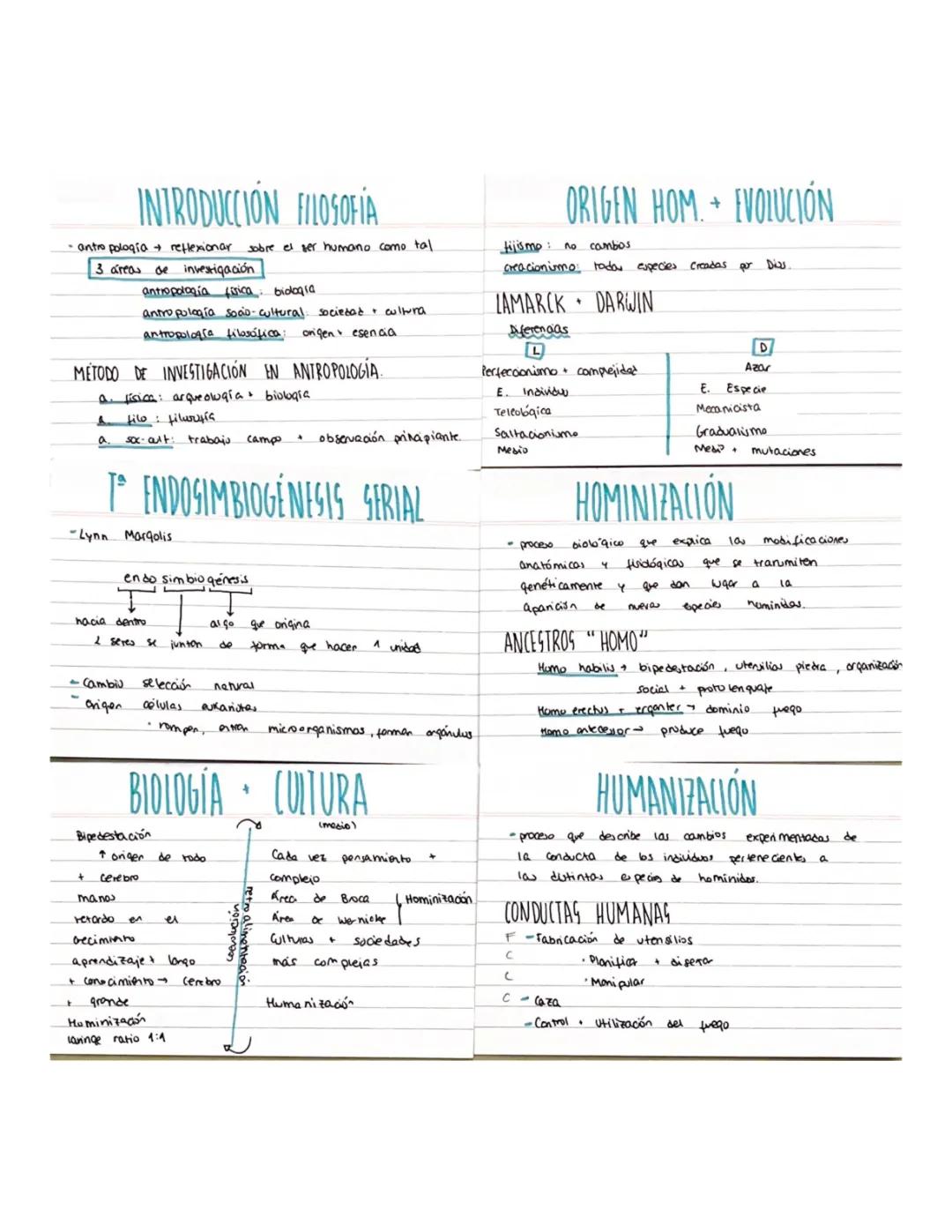 Introducción a la antropología y sus métodos de investigación