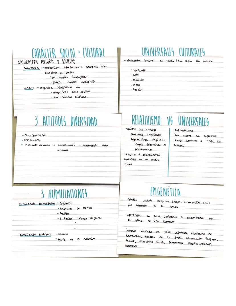 
<p>La antropología es una disciplina que se encarga de estudiar al ser humano en su totalidad, incluyendo aspectos biológicos, sociales, cu
