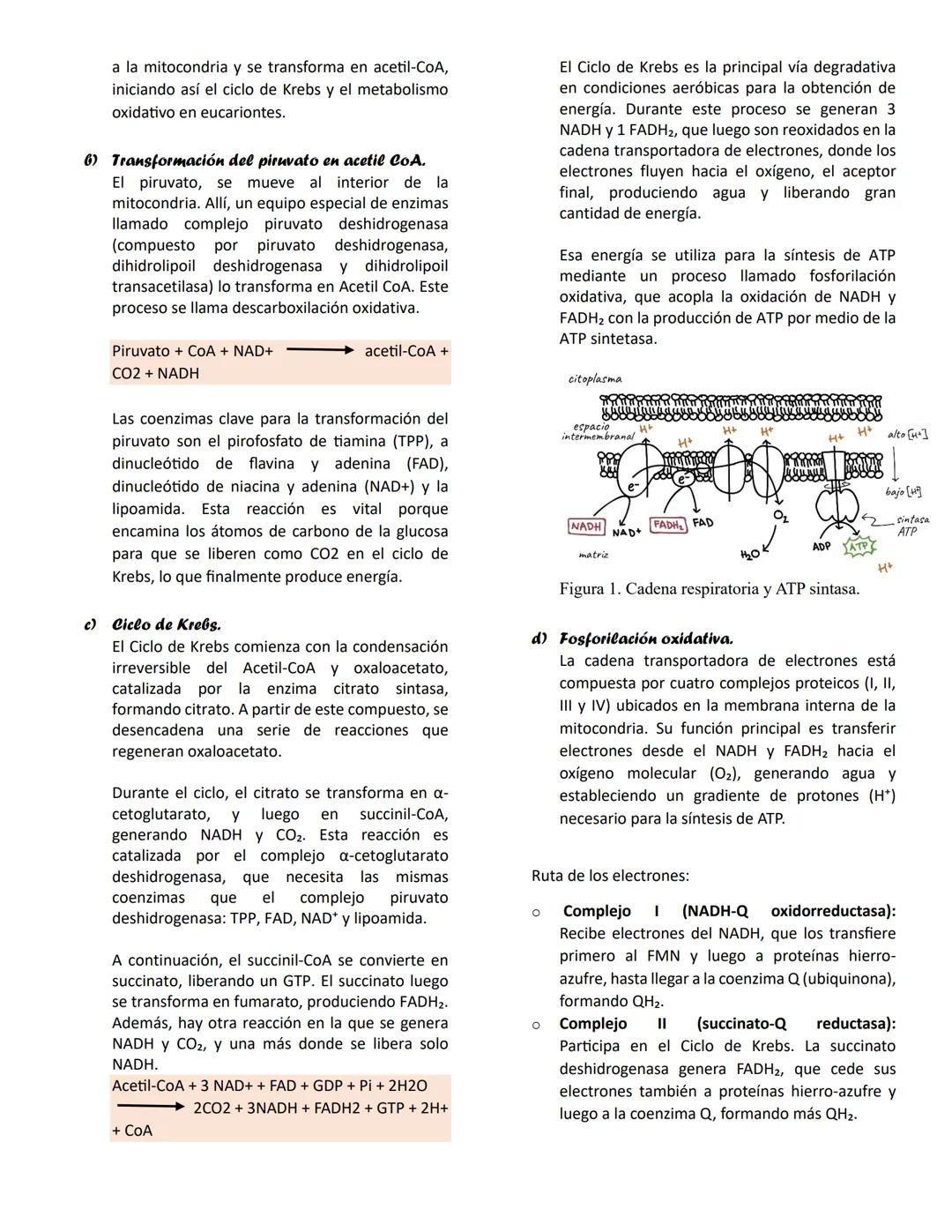 --- OCR Start ---
Glucolisis
METABOLISMO DE CARBOHIDRATOS
La necesidad de un aporte constante de energía a la
célula se debe a que ella lo r