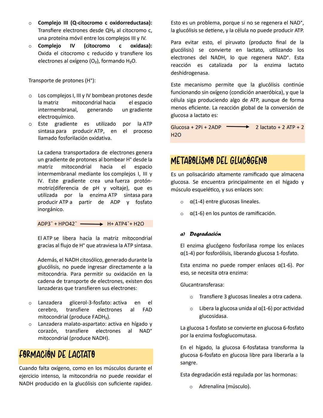 --- OCR Start ---
Glucolisis
METABOLISMO DE CARBOHIDRATOS
La necesidad de un aporte constante de energía a la
célula se debe a que ella lo r