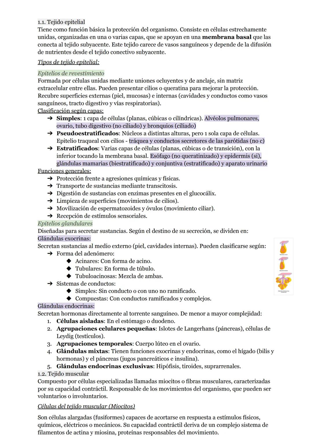 # O.I RESUMEN TEMAS I AL 5

# LA ORGANIZACIÓN DEL CUERPO HUMANO

1. Organización del cuerpo humano
1.1. Niveles atómico, molecular, celular 