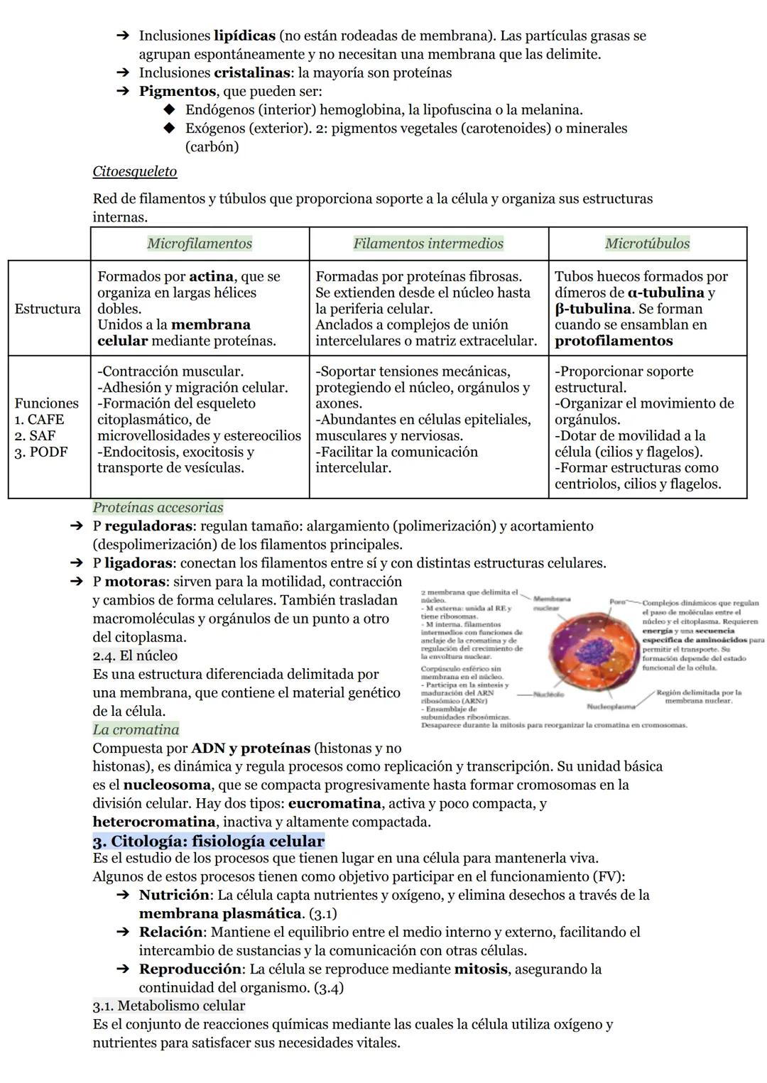 # O.I RESUMEN TEMAS I AL 5

# LA ORGANIZACIÓN DEL CUERPO HUMANO

1. Organización del cuerpo humano
1.1. Niveles atómico, molecular, celular 