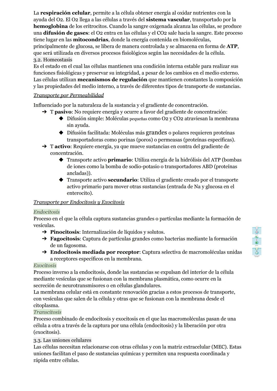 # O.I RESUMEN TEMAS I AL 5

# LA ORGANIZACIÓN DEL CUERPO HUMANO

1. Organización del cuerpo humano
1.1. Niveles atómico, molecular, celular 