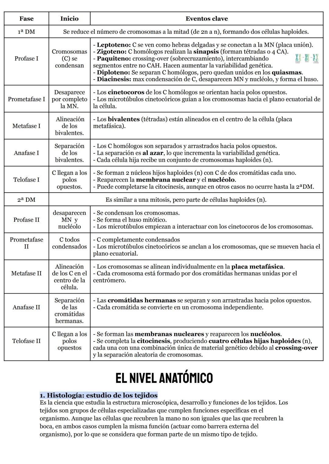 # O.I RESUMEN TEMAS I AL 5

# LA ORGANIZACIÓN DEL CUERPO HUMANO

1. Organización del cuerpo humano
1.1. Niveles atómico, molecular, celular 