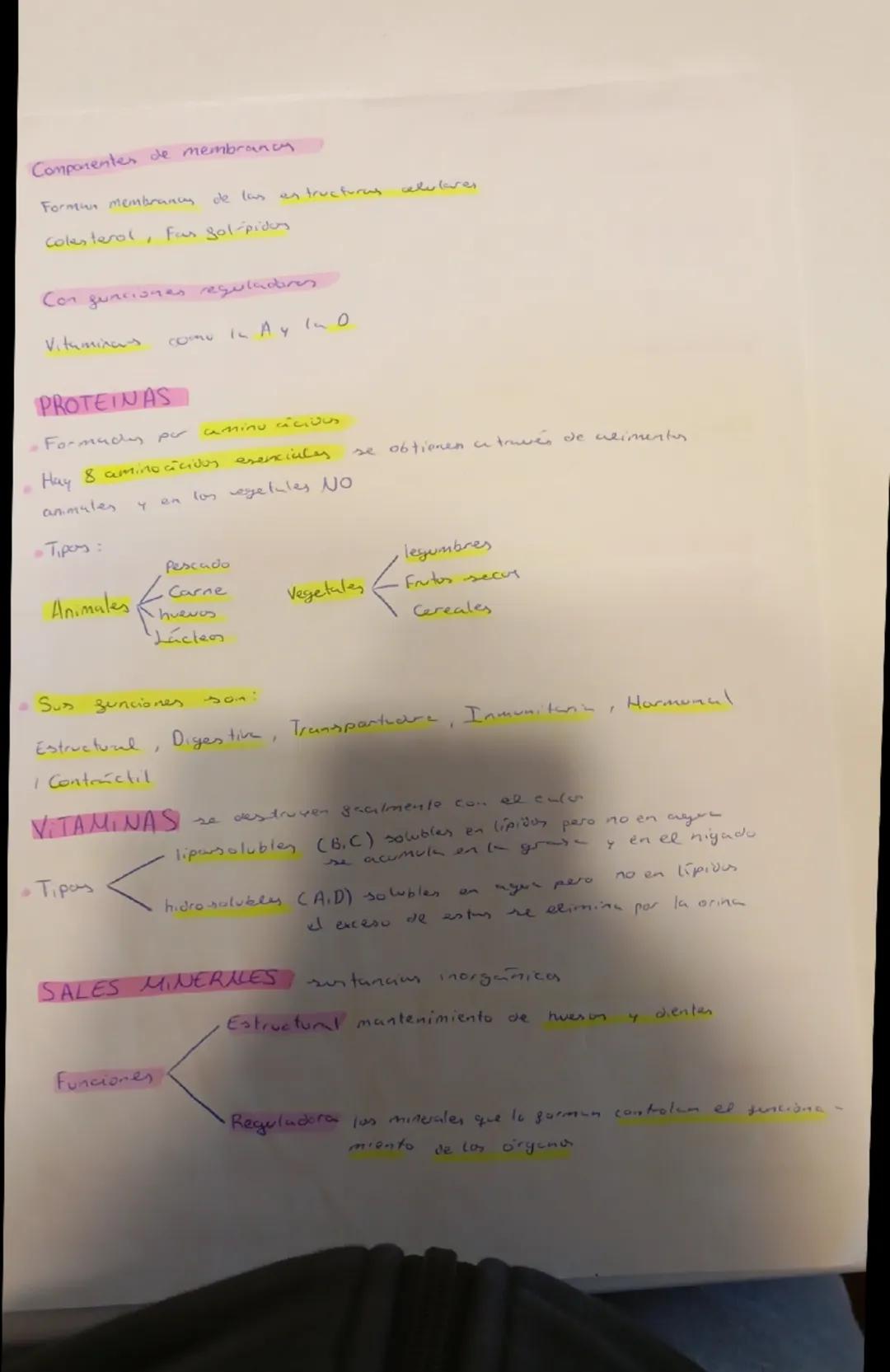 Tema 2 Alimentación y Nutrición

• Alimentacion procesa vowintwis y consciente en el que
incorporamon whimentos al arganismo

• Nutrición pr