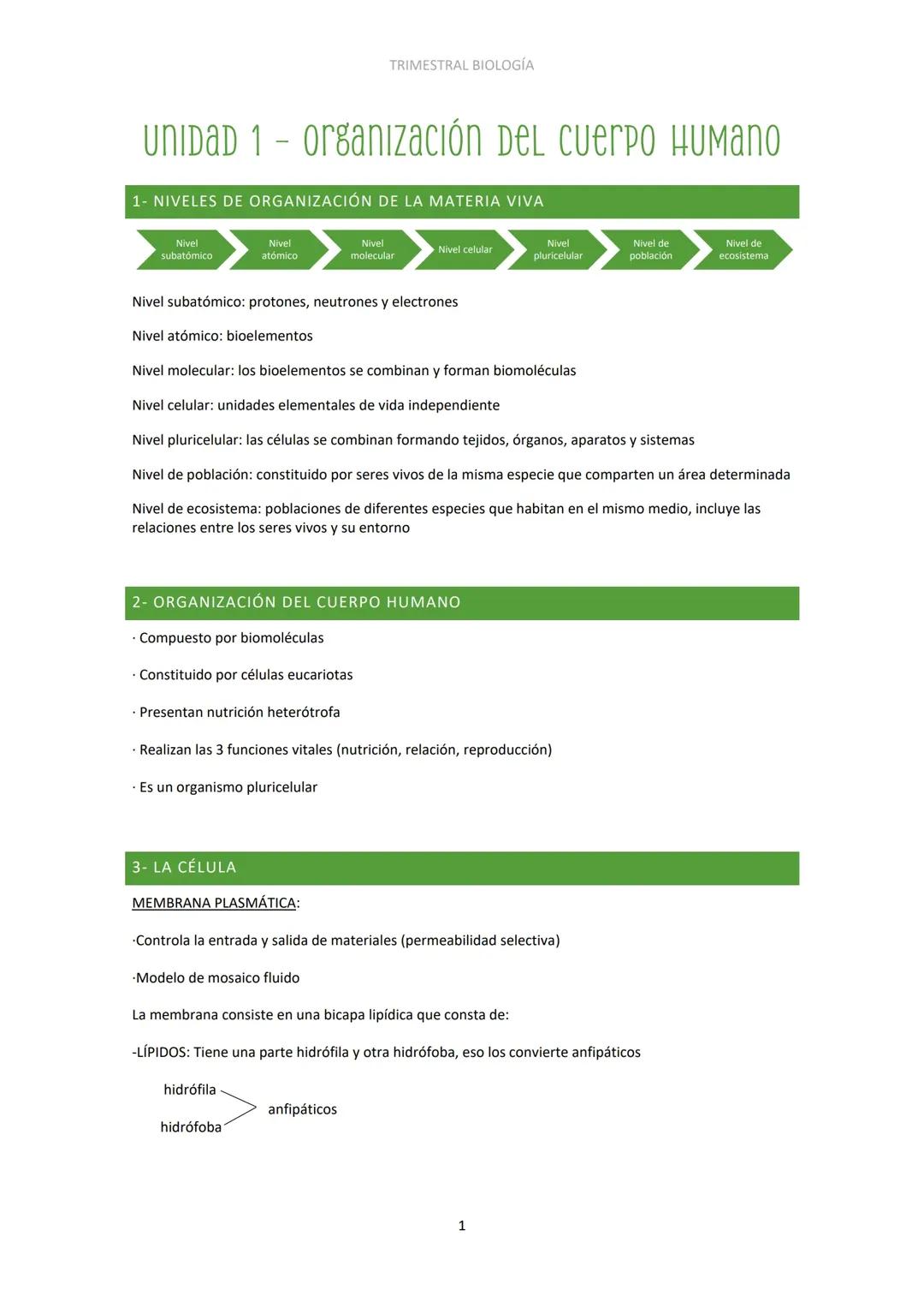 Exploración de la organización del cuerpo humano y los nutrientes esenciales