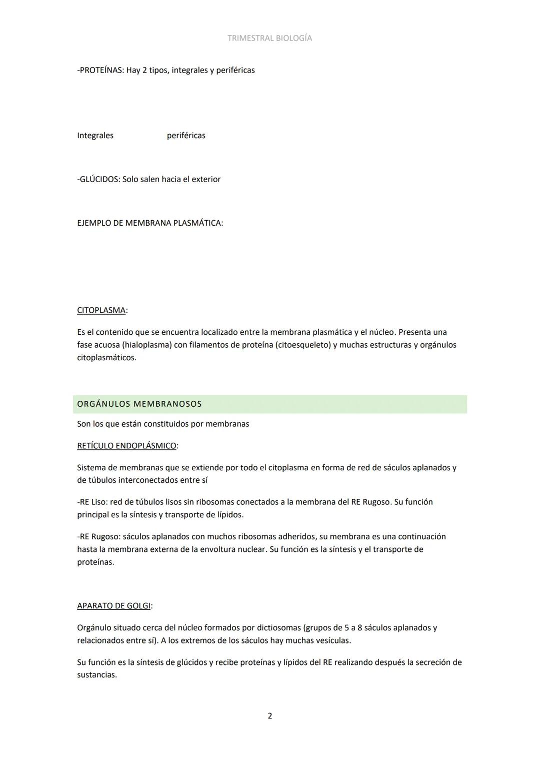 unidad 1 – organización del cuerpo Humano
1- NIVELES DE ORGANIZACIÓN DE LA MATERIA VIVA
Nivel
subatómico
Nivel
atómico
TRIMESTRAL BIOLOGÍA
N