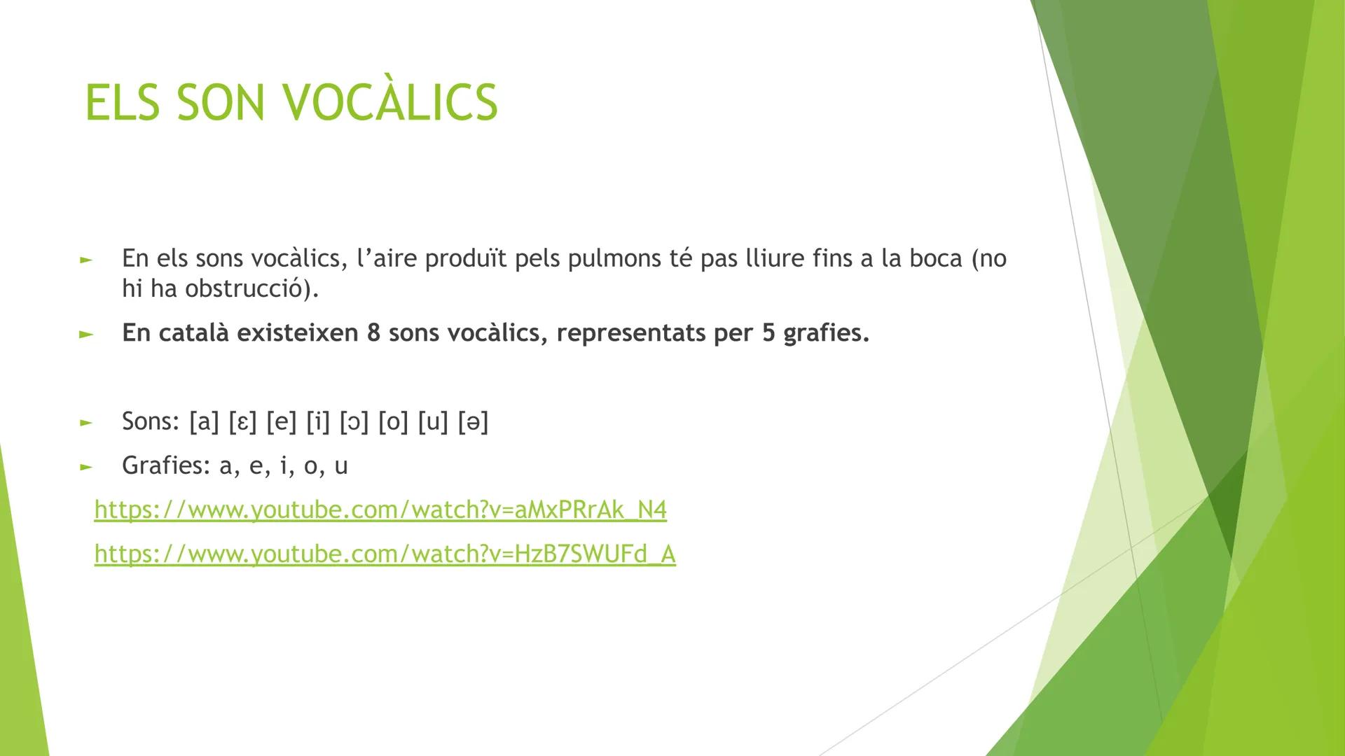 # Tema 1.

ELS SONS DE LA LLENGUA

CURS 2025-2026 INDEX

- La producció del sons
- Els sons vocàlics
- Les semivocals
- Fenòmens de contacte
