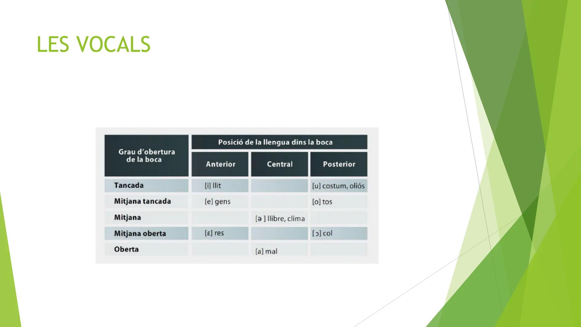 # Tema 1.

ELS SONS DE LA LLENGUA

CURS 2025-2026 INDEX

- La producció del sons
- Els sons vocàlics
- Les semivocals
- Fenòmens de contacte